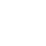 twitter icon
